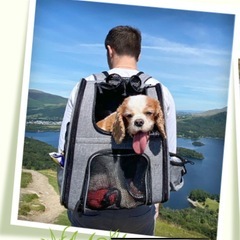 ペットキャリー　リュックタイプの画像