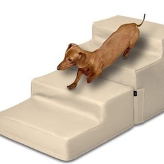 犬用　レザーステップの画像