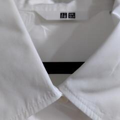 ユニクロ　コットンシャツ　レディースMの画像