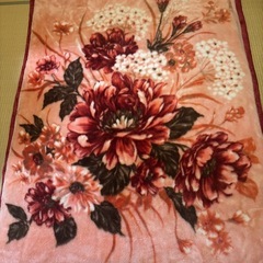 中古　毛布２枚　の画像