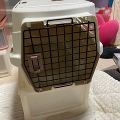 キャットケースの画像