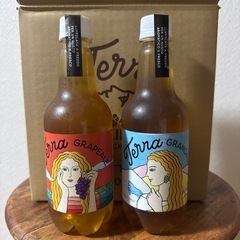 新潟県　クラフトビール　テラ　6本セットの画像