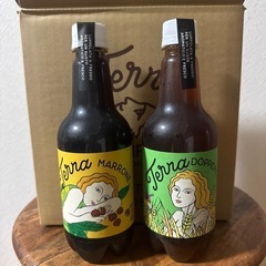 新潟県　クラフトビール　テラ　6本セットの画像
