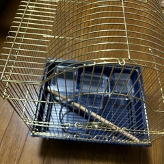 鳥かごの画像