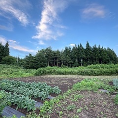 ｛要相談・写真後日追加｝物置、 資材置き場、畑などの画像