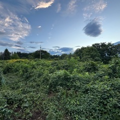 ｛要相談・写真後日追加｝物置、 資材置き場、畑などの画像