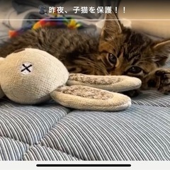 「【近くでゆるく繋がれる方、募集しています】
