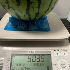 スイカ　５キロの画像