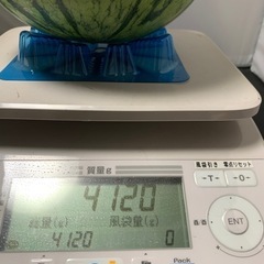 スイカ　4.1キロの画像