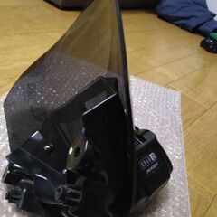 カワサキZ125 PRO スクリーン　SP武川 の画像