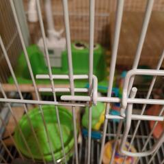 小鳥の多頭飼いケ゚―ジ(新品未使用品)の画像