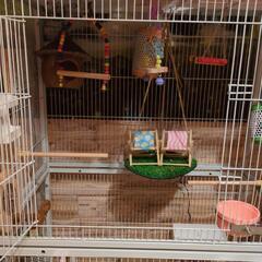 小鳥の多頭飼いケ゚―ジ(新品未使用品)の画像