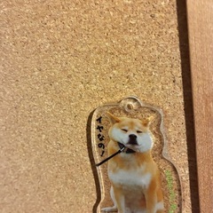 90x45cm コルクボード　まだ使える　の画像