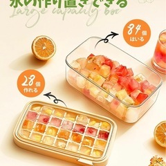 製氷ボックス　新品未使用の画像