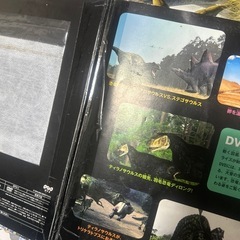 図鑑 まとめ売り三連休まで15000円(元値26000-30000円)の画像