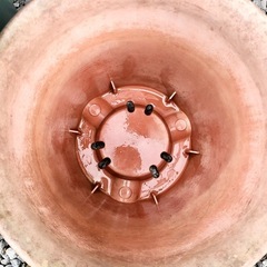 鉢植え　2個セット　大　小　家庭菜園　の画像
