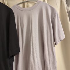 Lサイズ　無印良品Tシャツとカップ付きハイネックノースリーブの画像