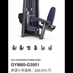 ドイツ製GYM80 レッグエクステンションの画像
