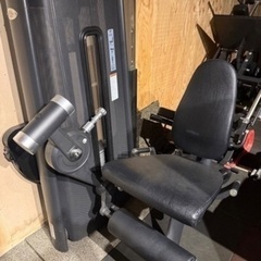 ドイツ製GYM80 レッグエクステンションの画像
