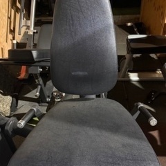 ドイツ製GYM80 レッグエクステンションの画像