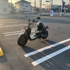 HONDA ズーマーaf68
の画像