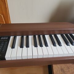 2023年　電子ピアノ 88鍵盤  カリーナ LF0088 セット品　近場配達　可の画像