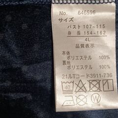 4L ブラウスの画像