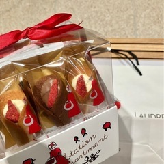 AUDREY 未開封 12個入り グレイシア　オードリーの画像