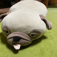 大きめのパグのぬいぐるみの画像