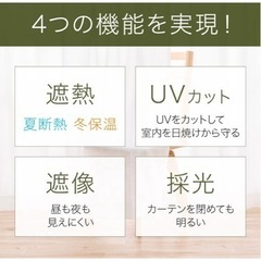 ニトリ レース エコナチュレST 1枚の画像