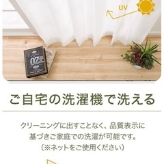 ニトリ レース エコナチュレST 1枚の画像