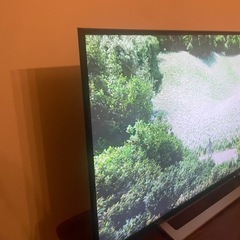 東芝REGZA43M520Xの画像