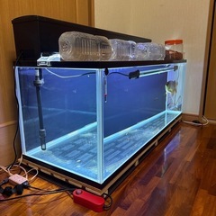 🔴120ガラス水槽セットの画像