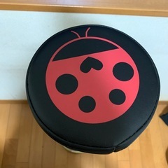 てんとう虫柄　フィットネスポールの画像