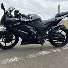 カワサキ ニンジャ 250 EX250K の画像