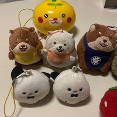 全て無料で差し上げますの画像