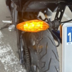 カワサキ ニンジャ250 追加画像の画像