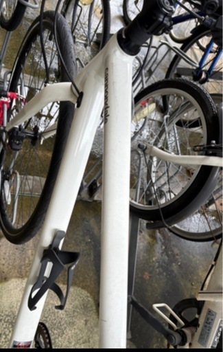 cannondale quick3 ホワイト クロスバイク 早め希望