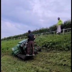 草刈りと剪定
