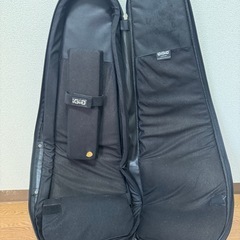 エレキギター用ギグバッグ igigの画像
