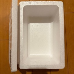 発泡スチロール60サイズ10個以上の画像