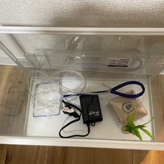 水槽、魚飼育セットの画像