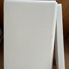発泡スチロール　大の画像