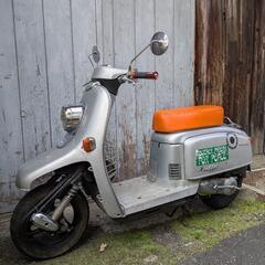 ホンダジュリオ50cc 　原付の画像