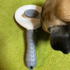 犬のブラシ▼°谷°▼の画像
