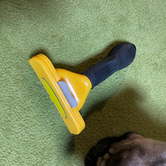 犬のブラシ▼°谷°▼の画像