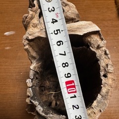 流木（大）金魚の巣の画像