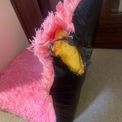 ピンクの座椅子　もらってくださいの画像