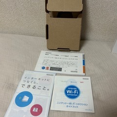 ニンテンドーWi-Fi ネットワークアダプターの画像