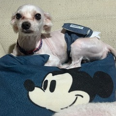 大至急、仲良し兄弟‼️